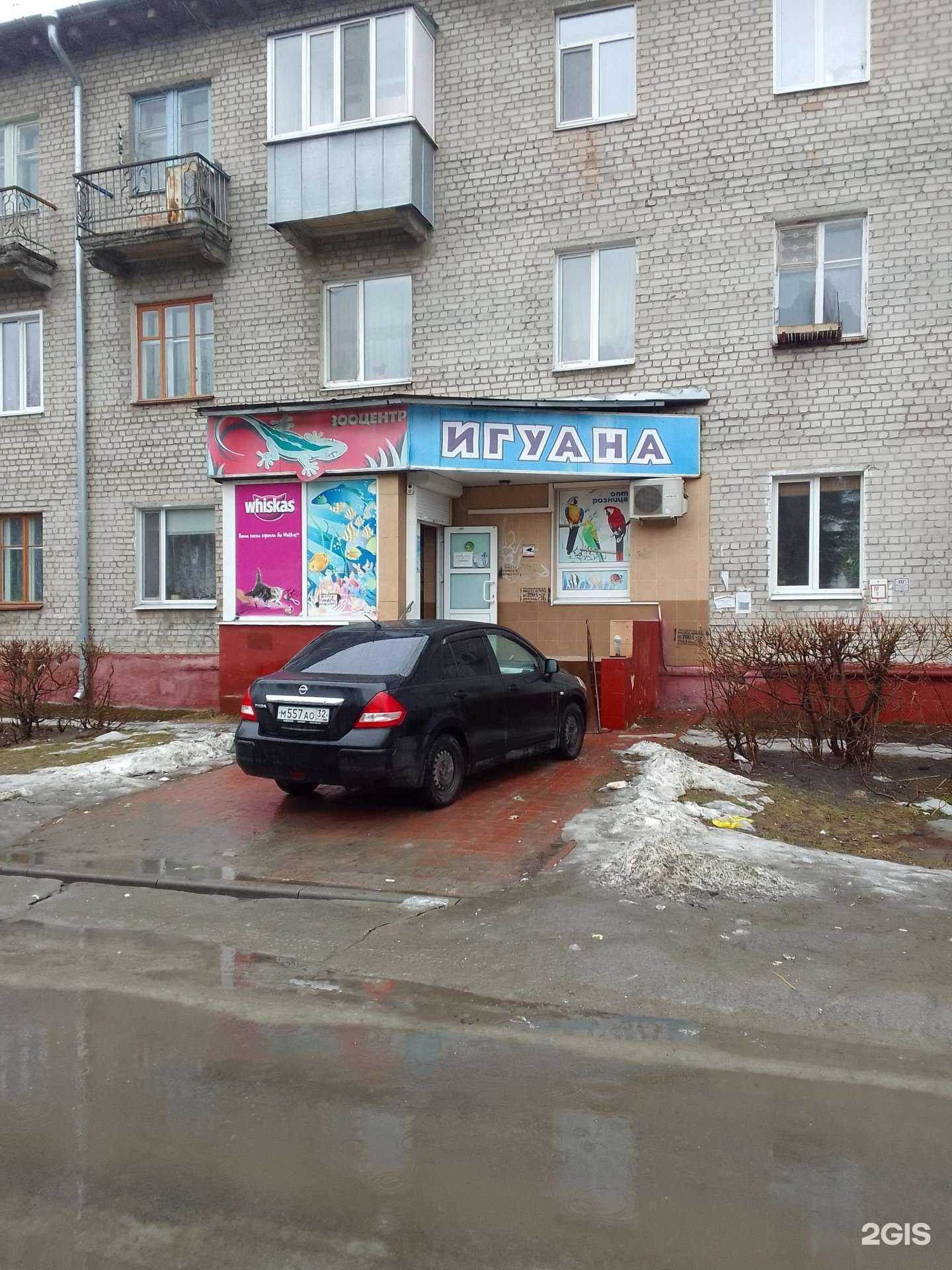 Отзывы на компанию Игуана в г. Брянск c фото