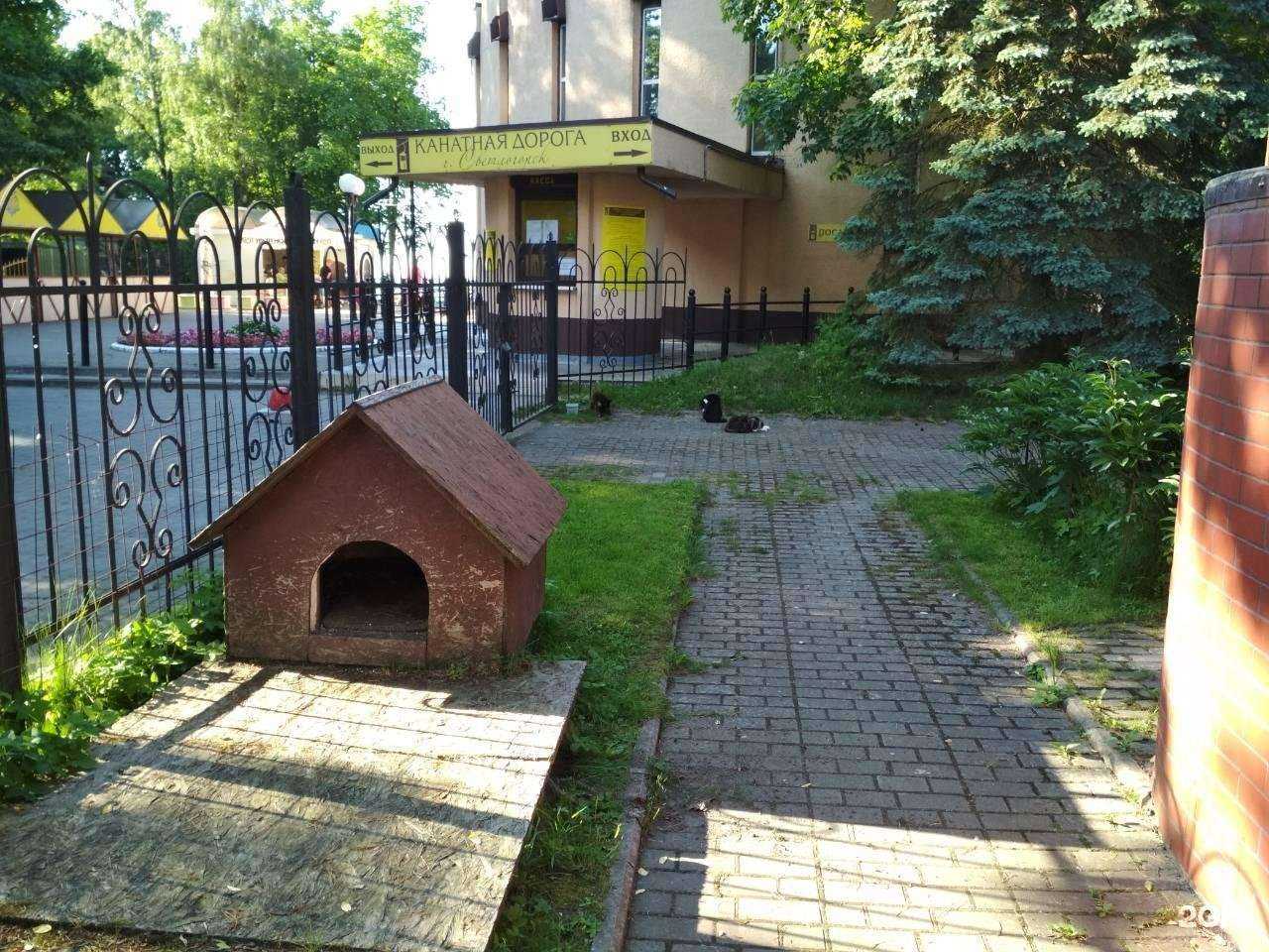 Отзывы на компанию Встреча в г. Светлогорск c фото