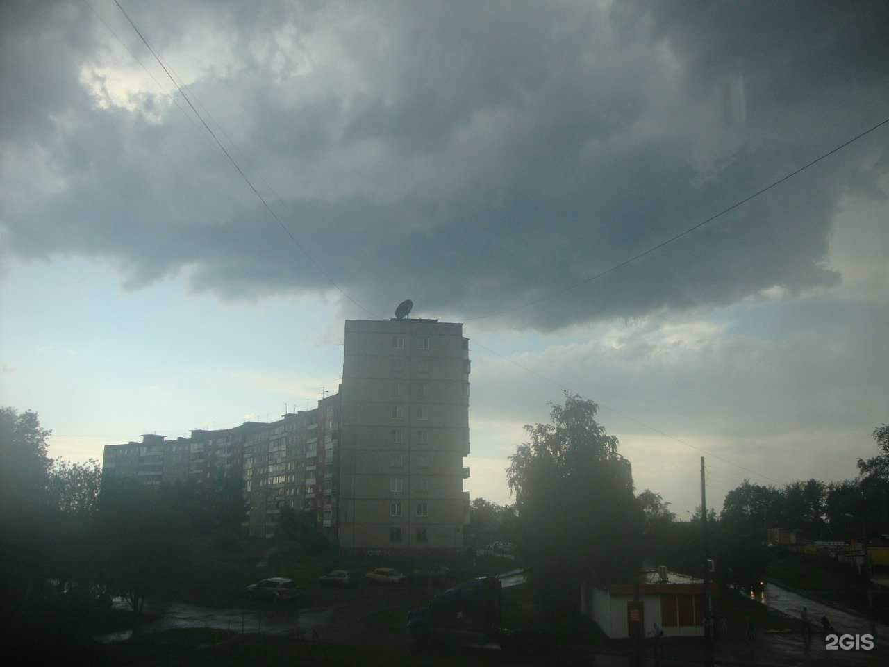 Отзывы на компанию Мой зверь в г. Пермь c фото