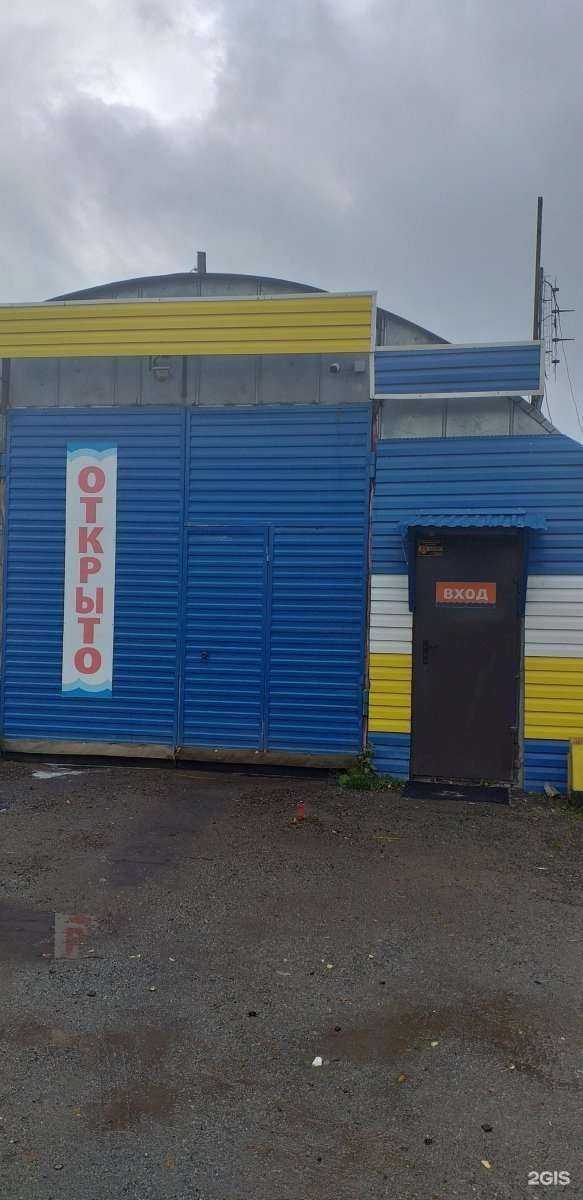 Отзывы на компанию Дельфин в Златоусте c фото