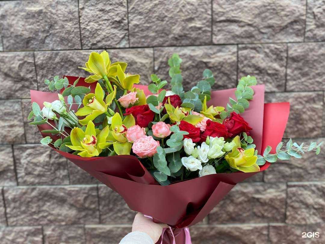 Отзывы на компанию Диантус в г. Мурманск c фото