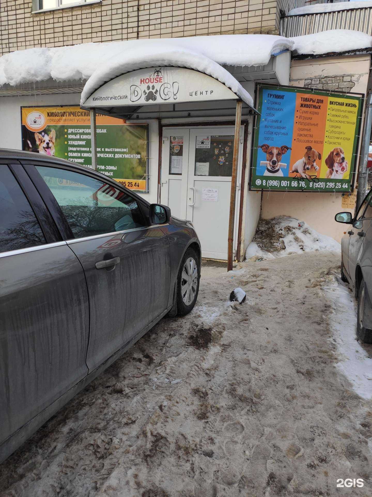 Отзывы на компанию Dog house в Дзержинске c фото