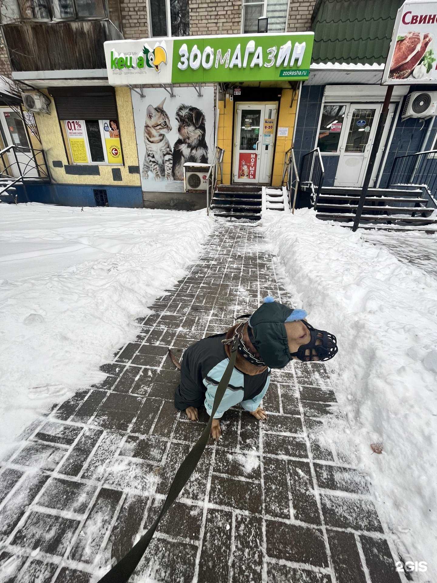 Отзывы на компанию Кеша в Смоленске c фото