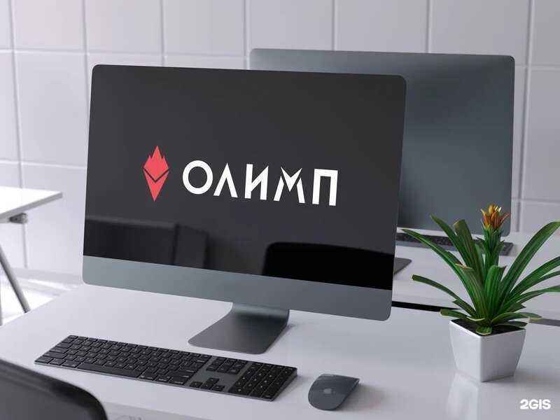 Отзывы на компанию Олимп в Электростали c фото