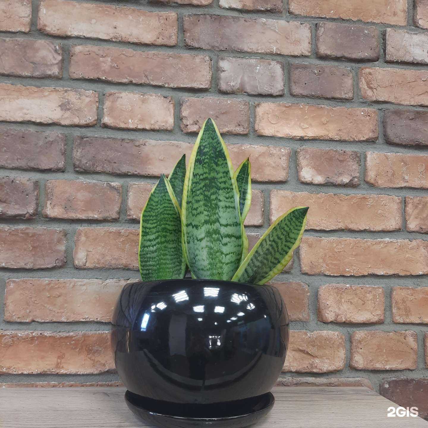 Отзывы на компанию Твоё место в Иркутске c фото