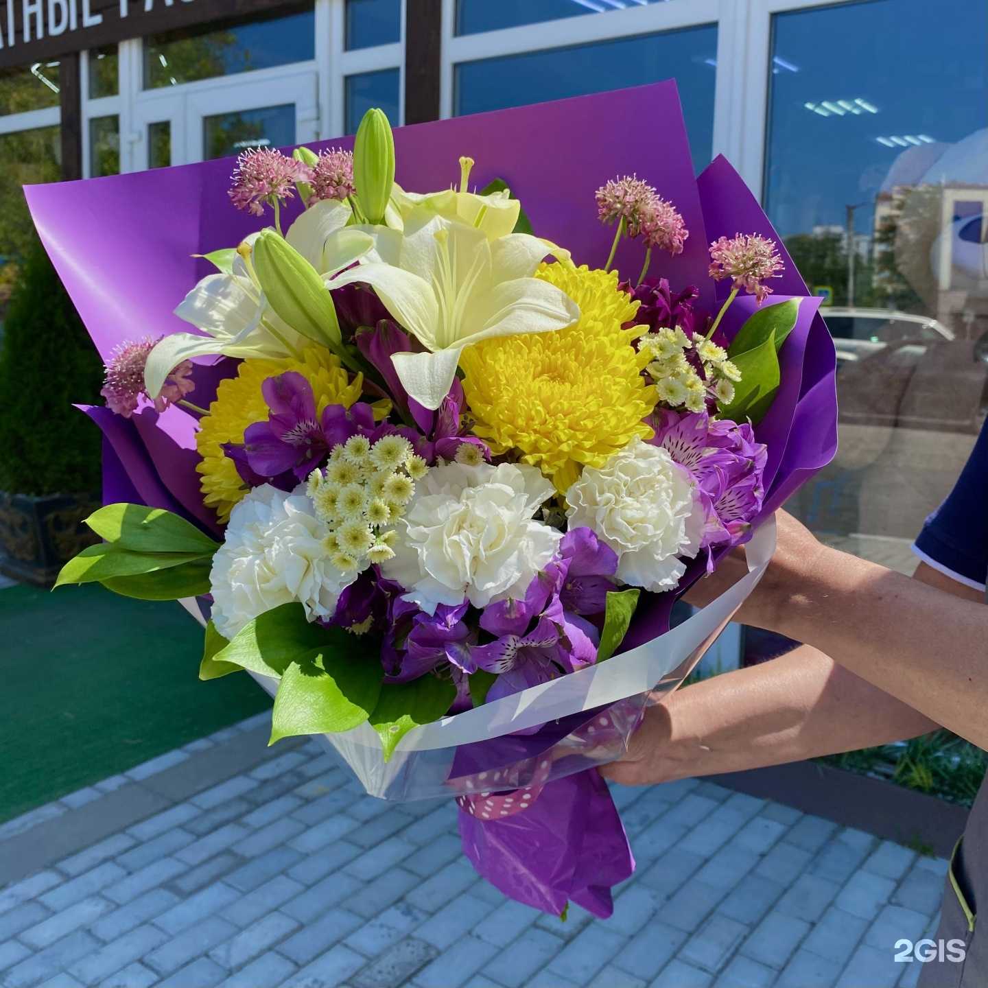 Отзывы на компанию Флора jazz в г. Анапа c фото