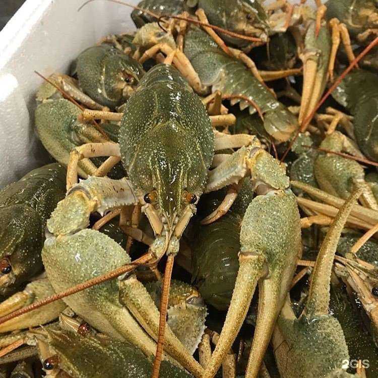 Отзывы на компанию Ракоманчел в Челябинске c фото