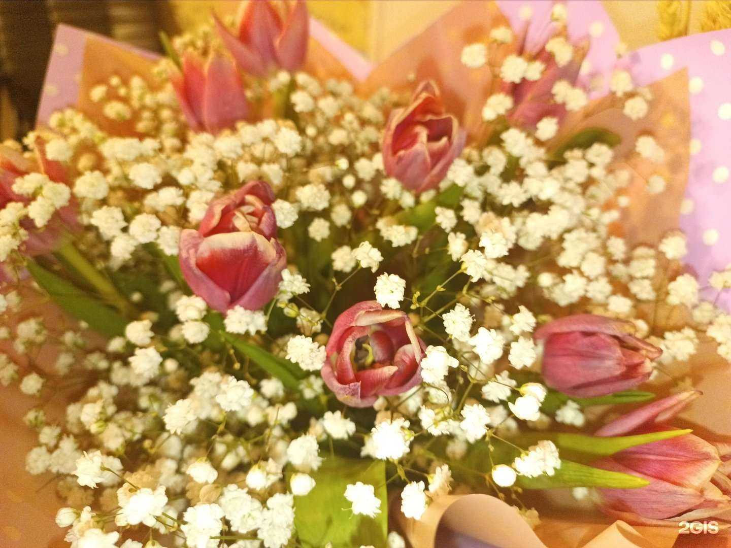 Отзывы на компанию Эдельвейс в г. Владимир c фото