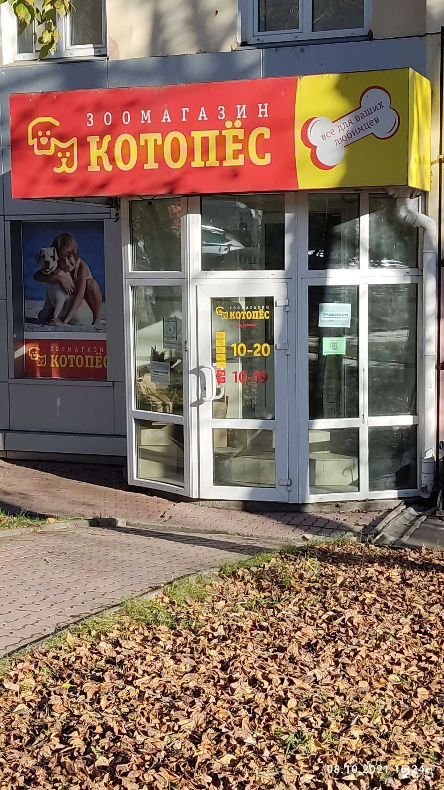 Отзывы на компанию Котопёс в Хабаровске c фото