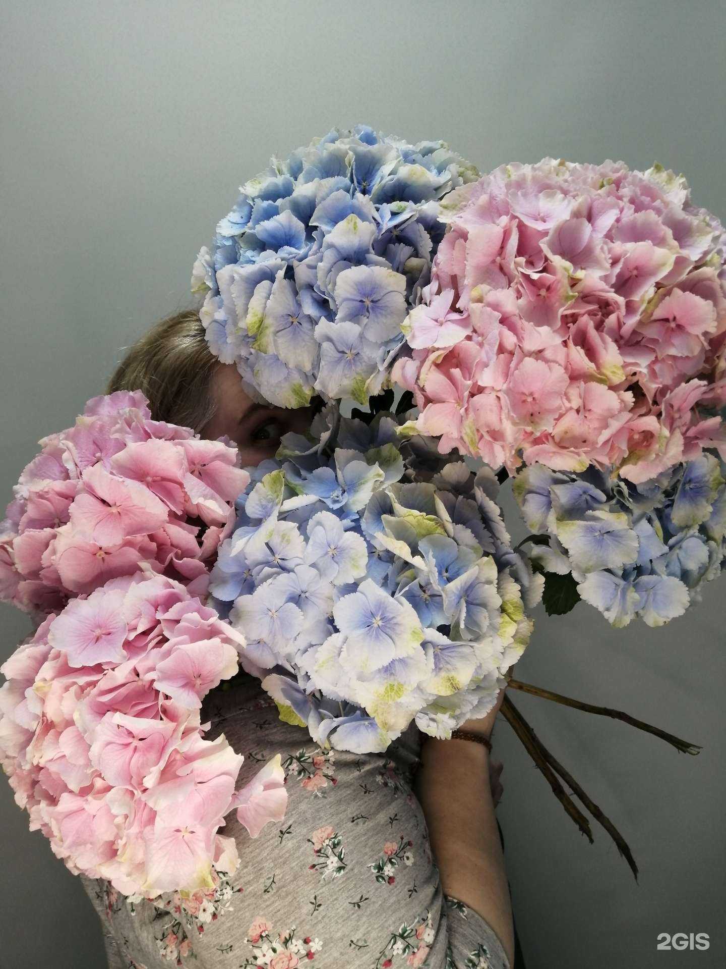 Отзывы на компанию Омела в г. Котовск c фото