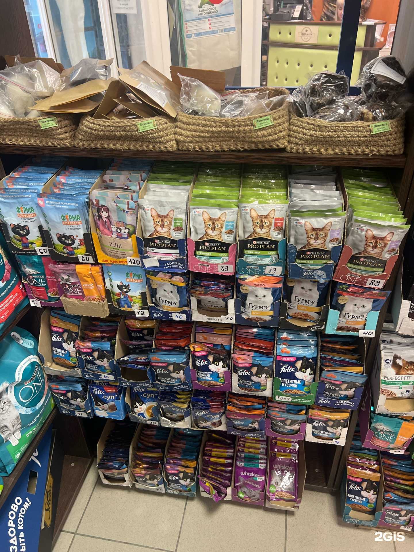 Отзывы на компанию 4 лапки в г. Норильск c фото