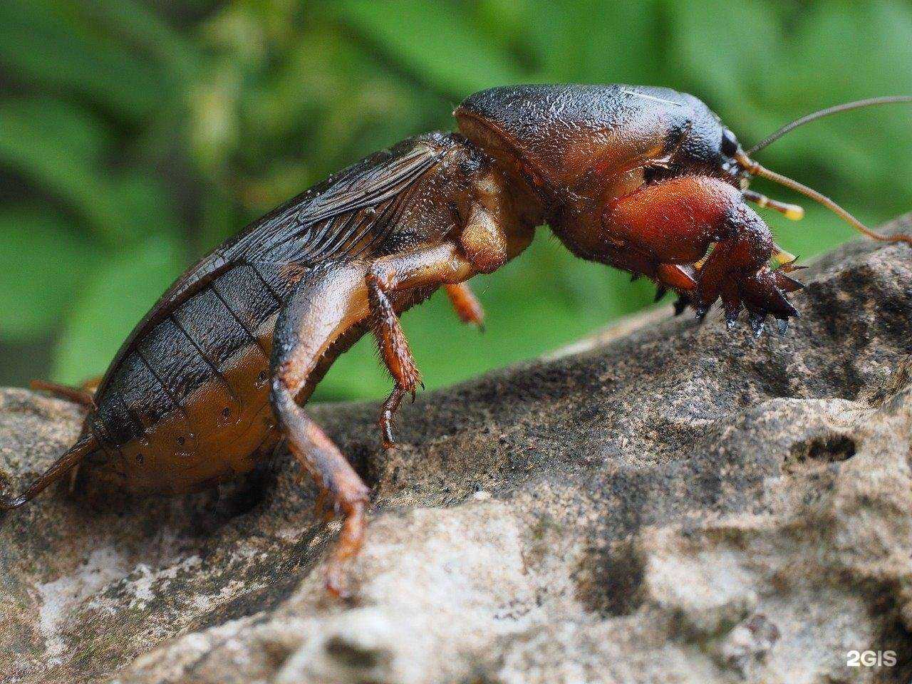 Отзывы на компанию Семена-база.рф в г. Волгоград c фото