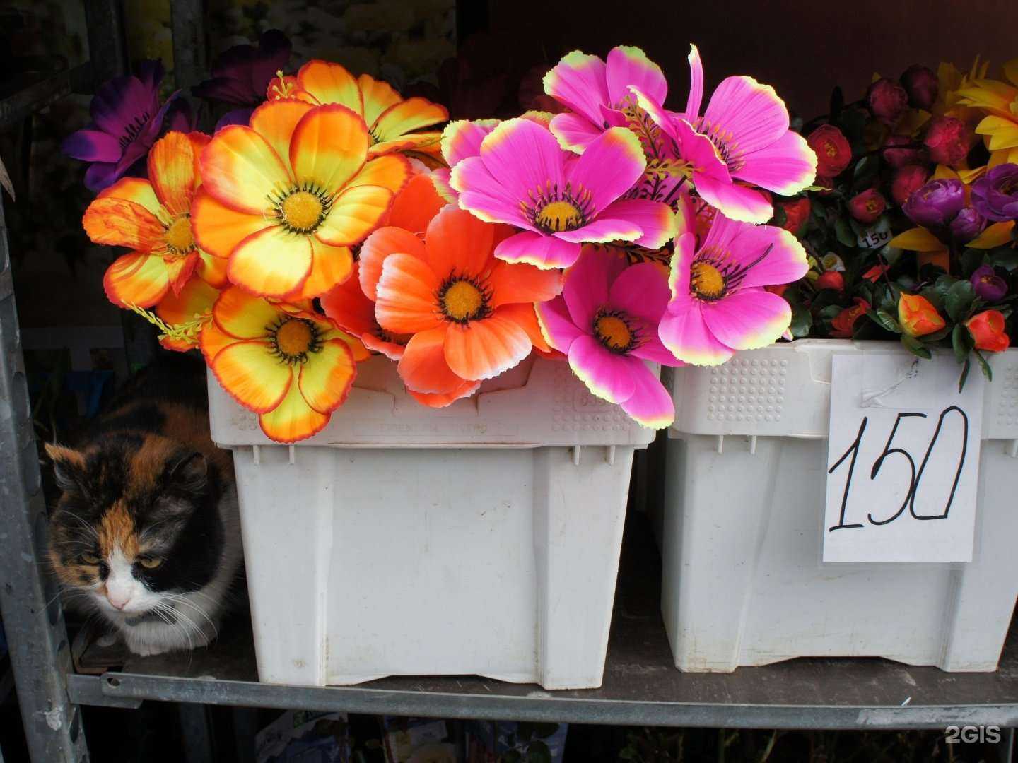 Отзывы на компанию Уютный дом в Кимрах c фото