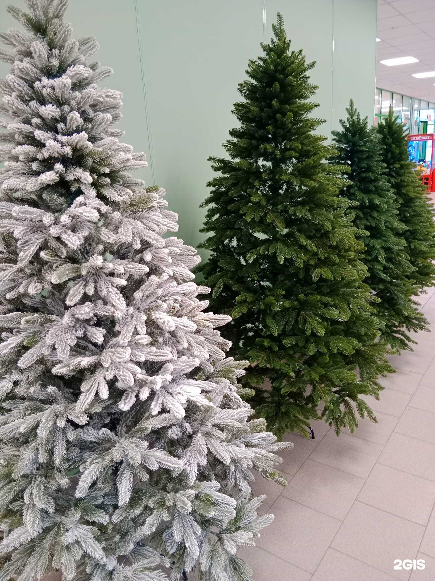 Отзывы на компанию Эмоция+ в Твери c фото