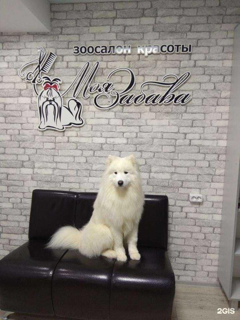 Отзывы на компанию Моя Забава в Чебоксарах c фото