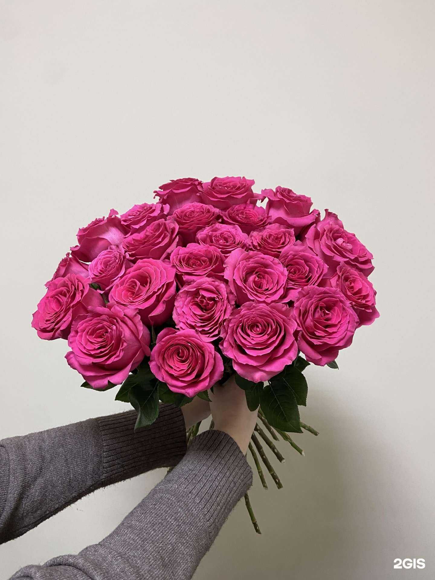 Отзывы на компанию Кристафло в Новосибирске c фото