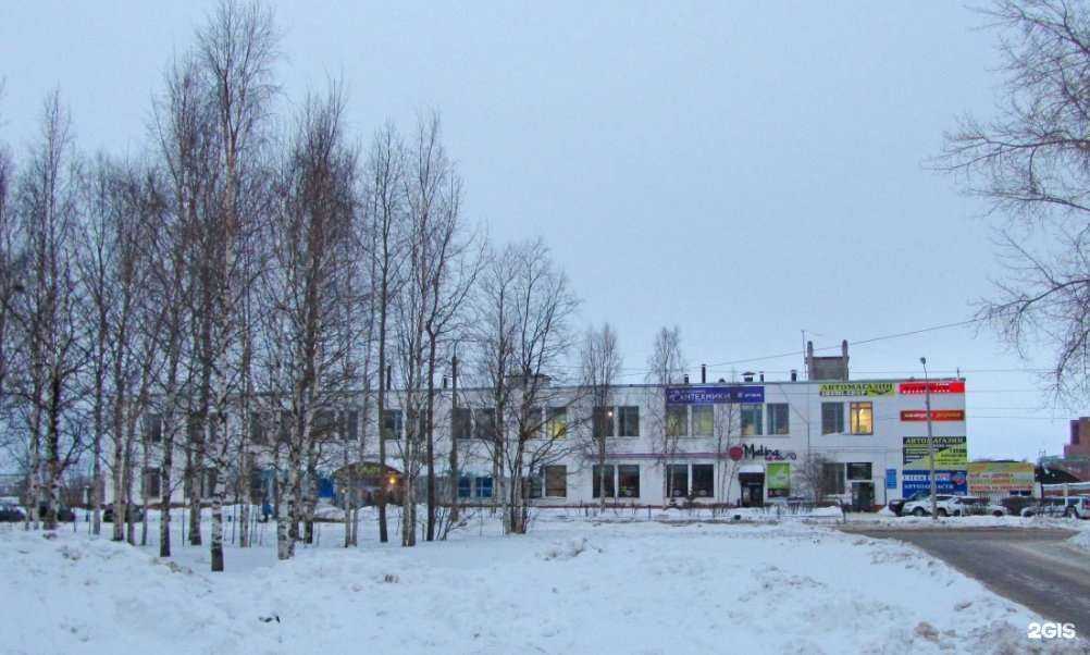 Отзывы на компанию Магазин автозапчастей в Северодвинске c фото - фотография 2 из 2