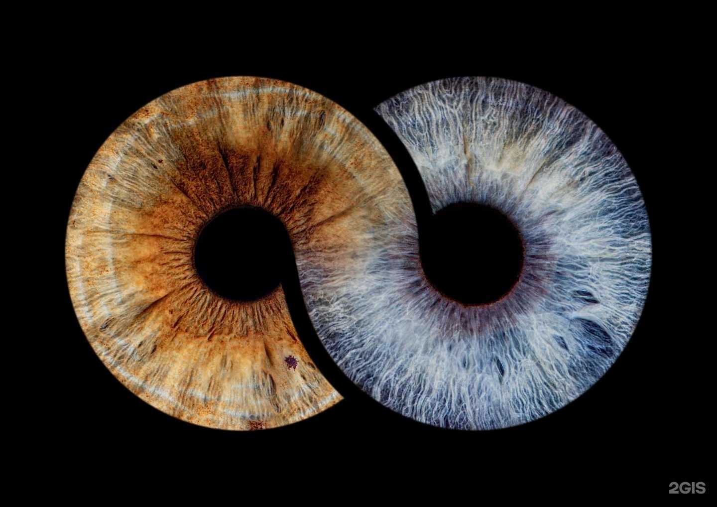 Отзывы на компанию Oh, my eyes в Краснодаре c фото