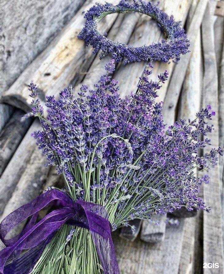 Отзывы на компанию Мадам Завари 33 в Владимире c фото