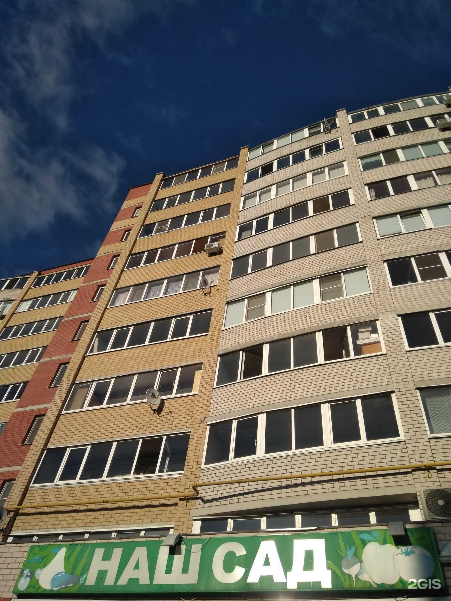 Отзывы на компанию Зебра в Ижевске c фото - фотография 2 из 2