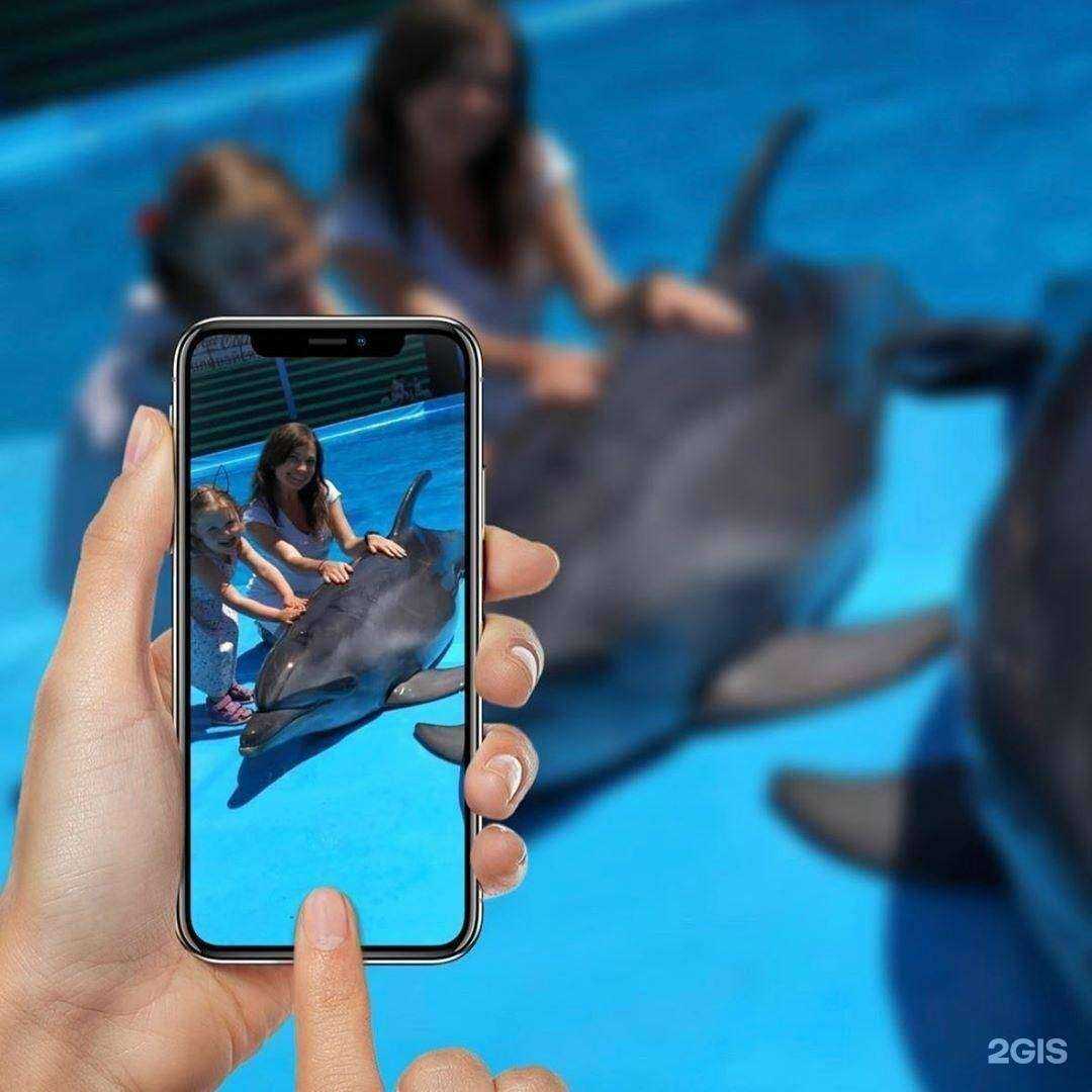 Отзывы на компанию Дельфинарий в г. Ейск c фото