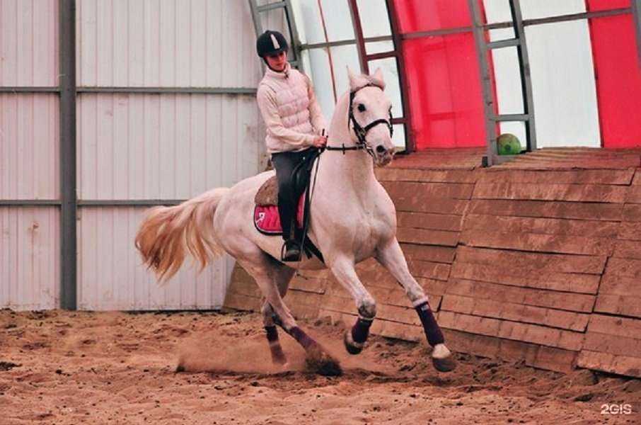 Отзывы на компанию Добрыня в Волгограде c фото