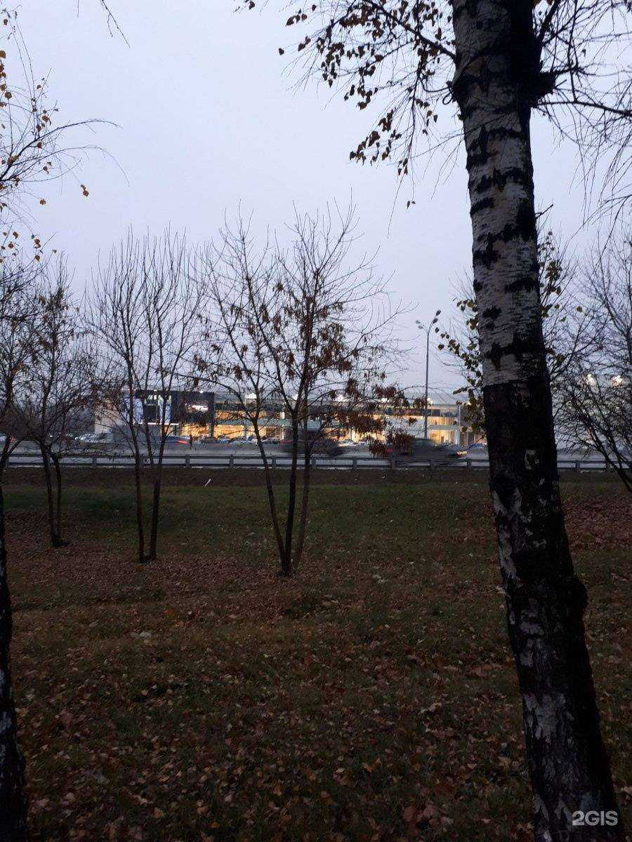 Отзывы на компанию БорисХоф в г. Москва c фото