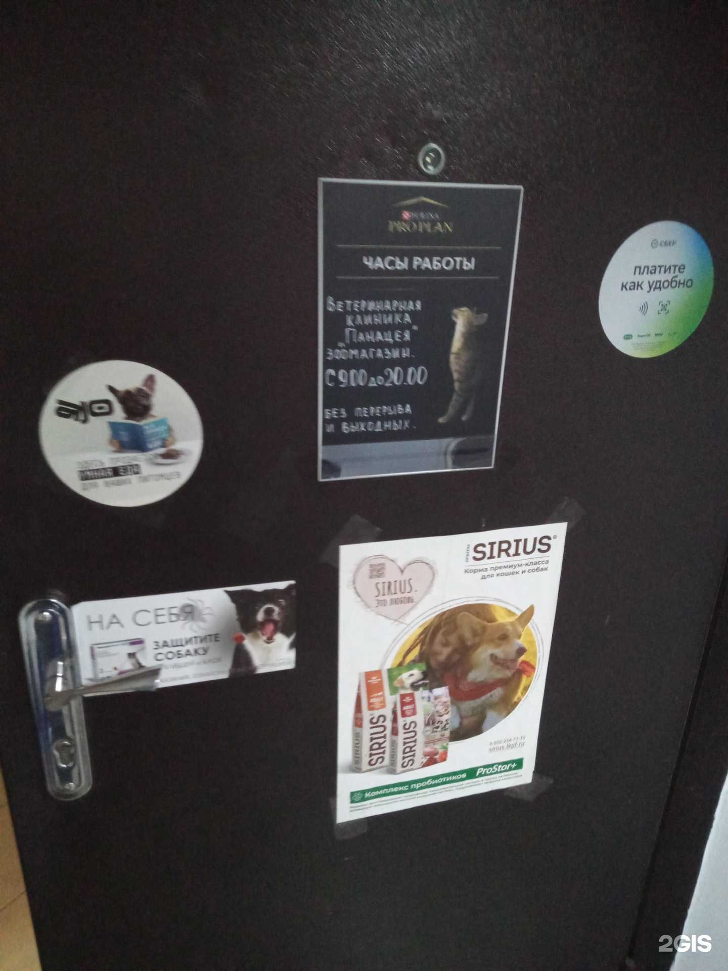 Отзывы на компанию Панацея в Ростове-на-Дону c фото