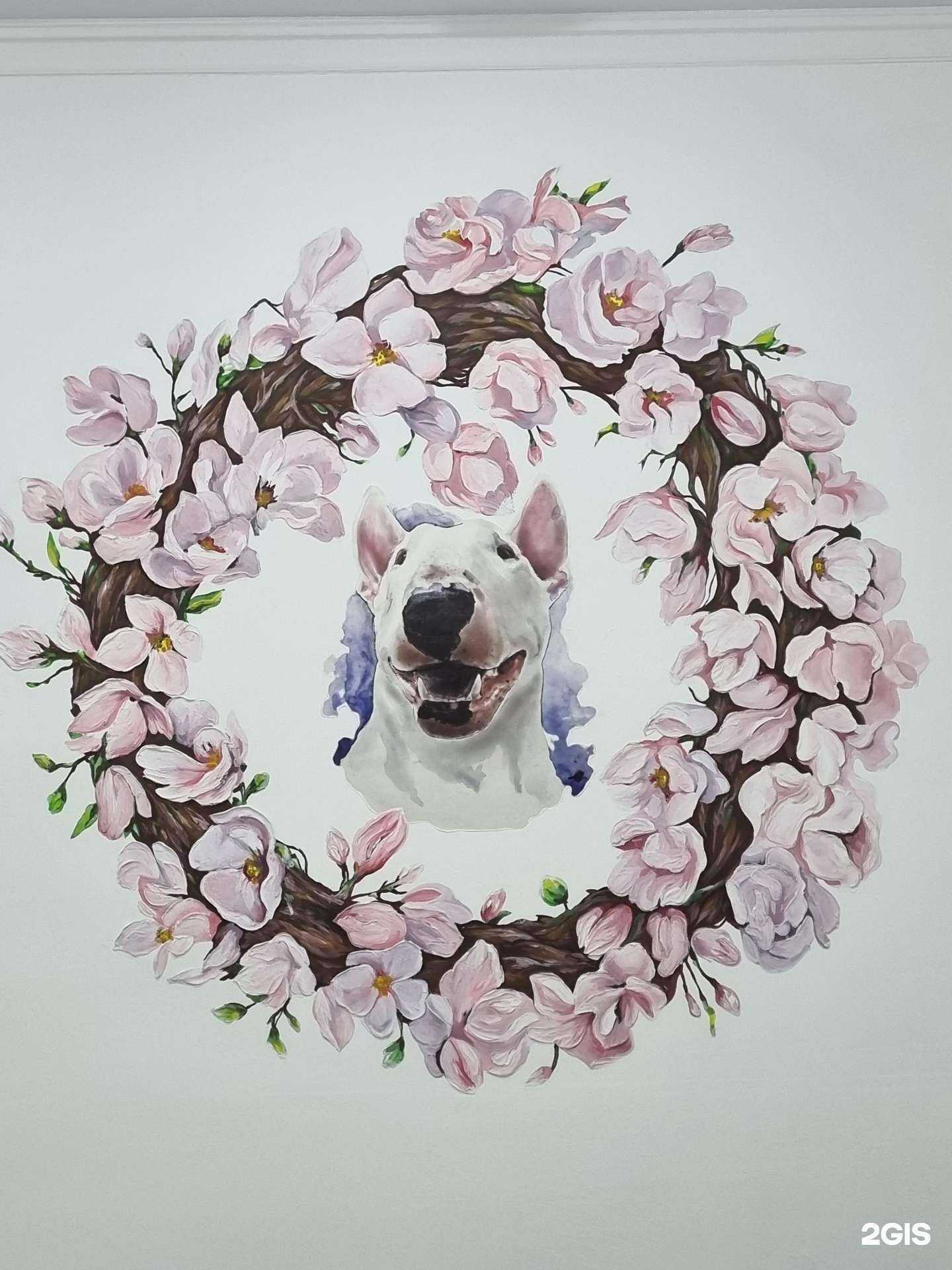 Отзывы на компанию Свой доктор в Краснодаре c фото