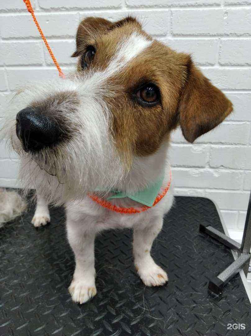 Отзывы на компанию ЛедиМур в Челябинске c фото