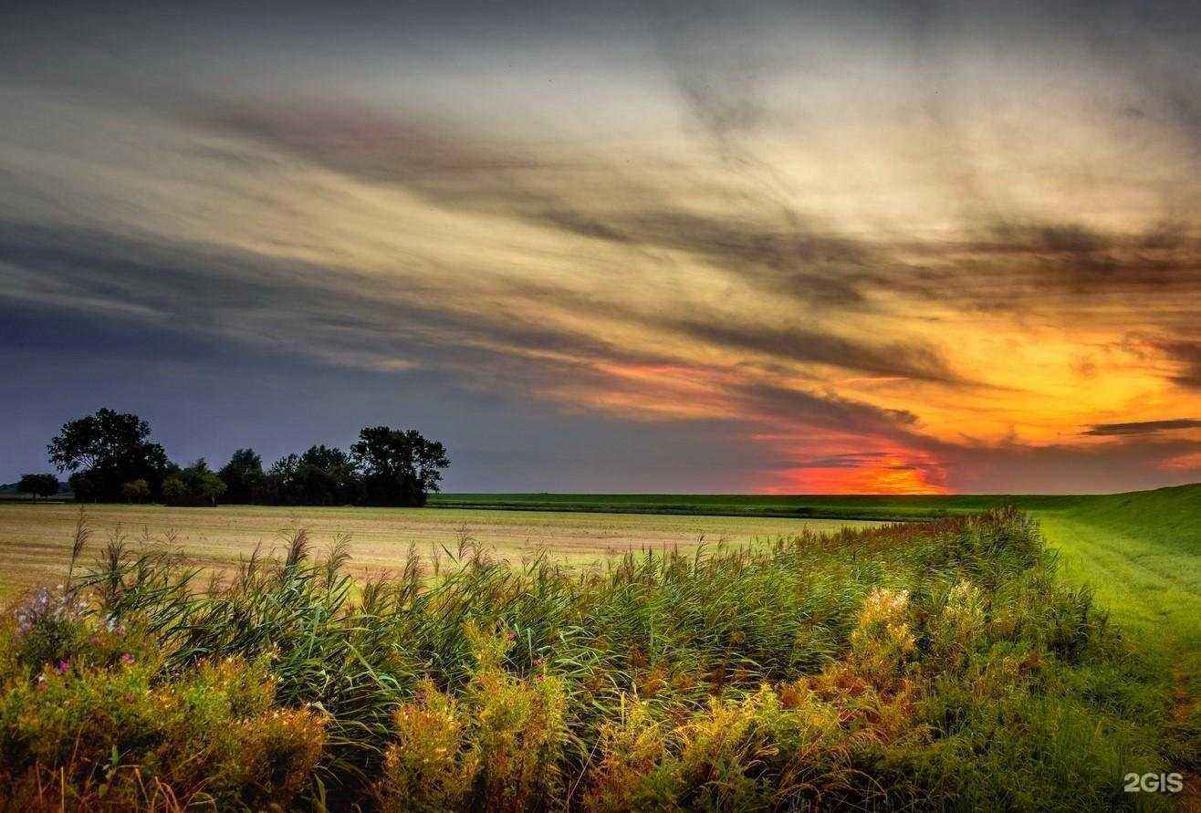 Отзывы на компанию Флора-Си в Балашихе c фото