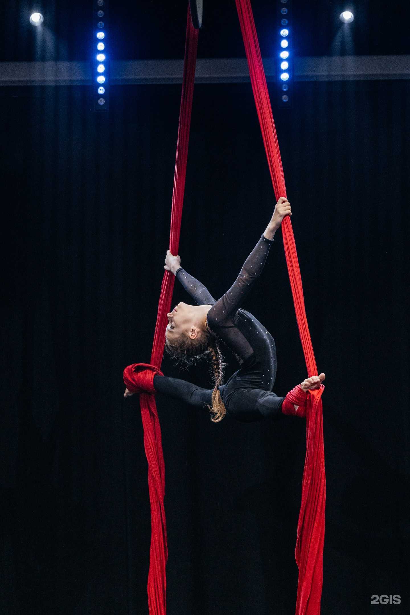 Отзывы на компанию Виват Талант в Новосибирске c фото