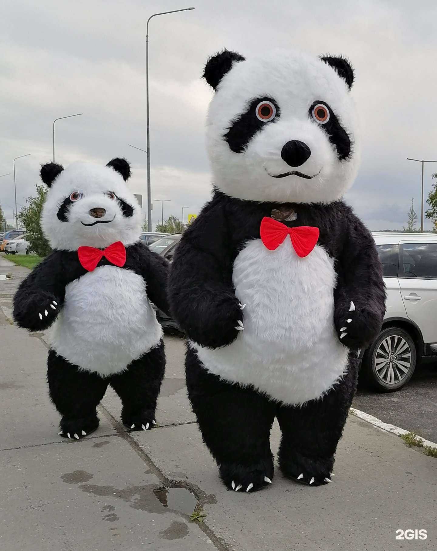 Отзывы на компанию Тип-топ в Нижневартовске c фото