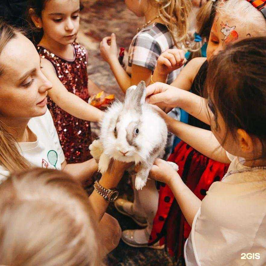 Отзывы на компанию Family в Батайске c фото