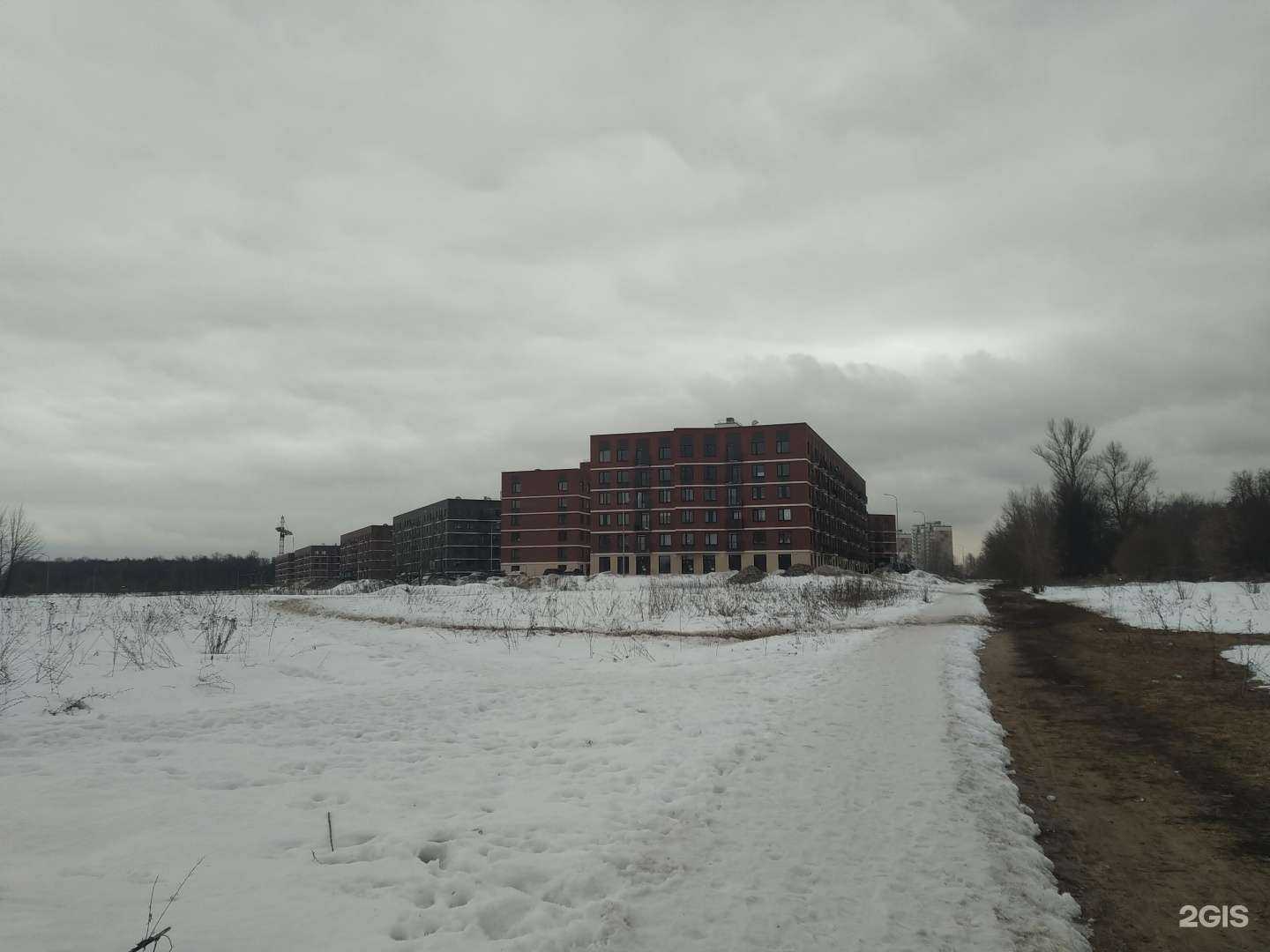 Отзывы на компанию Groom Paws в Балашихе c фото - фотография 2 из 2