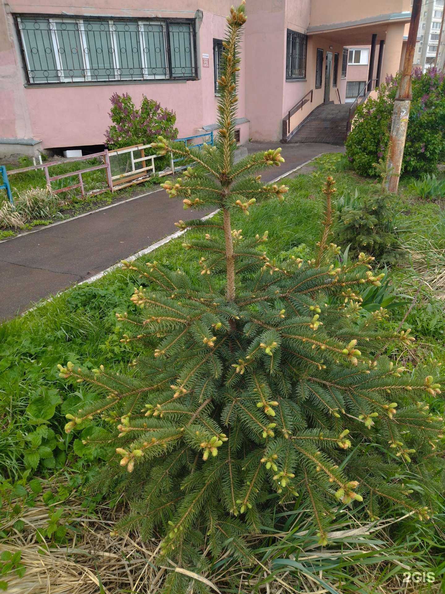 Отзывы на компанию Волжско-Камский оконный завод в Казани c фото - фотография 2 из 2