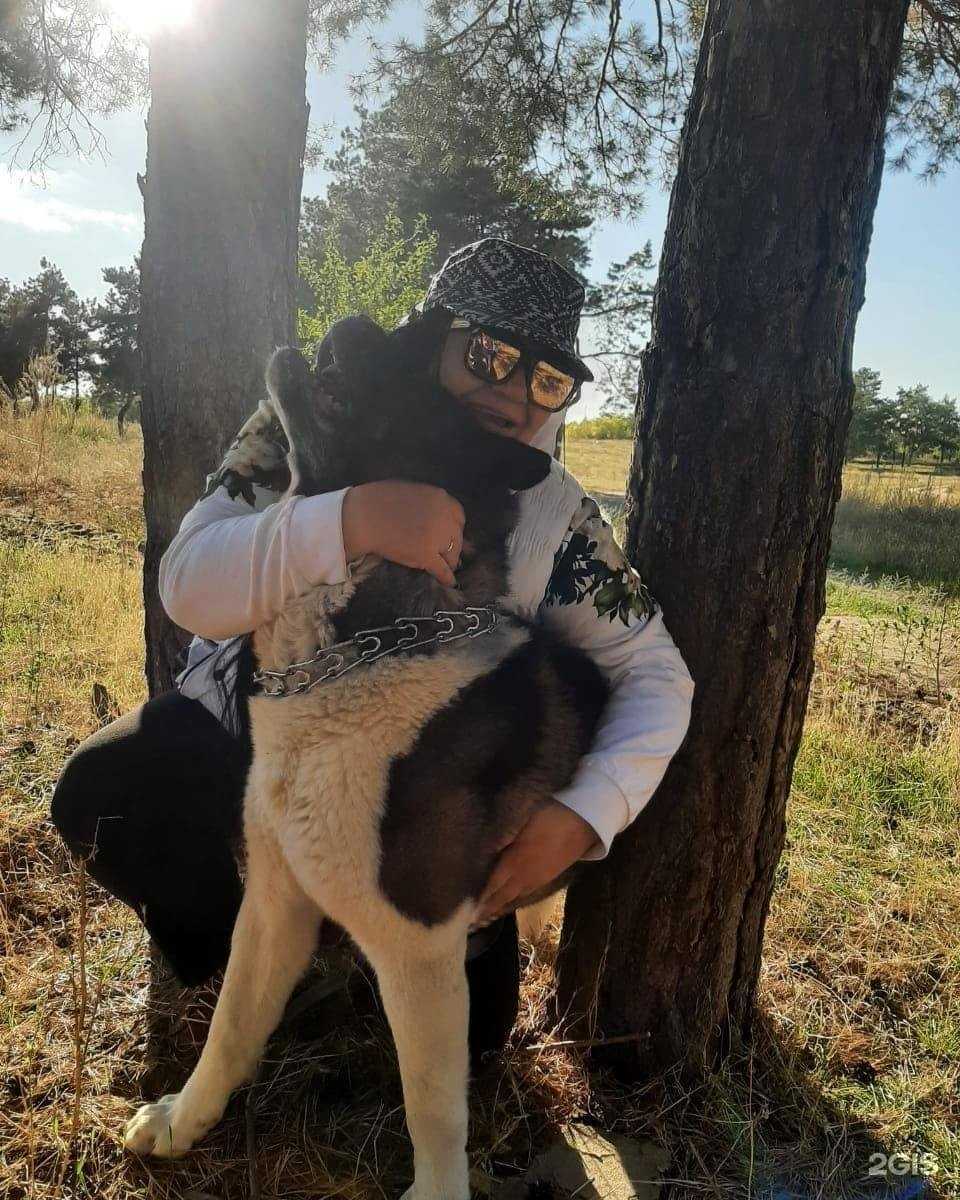 Отзывы на компанию ВолгаЛадь в Волгограде c фото