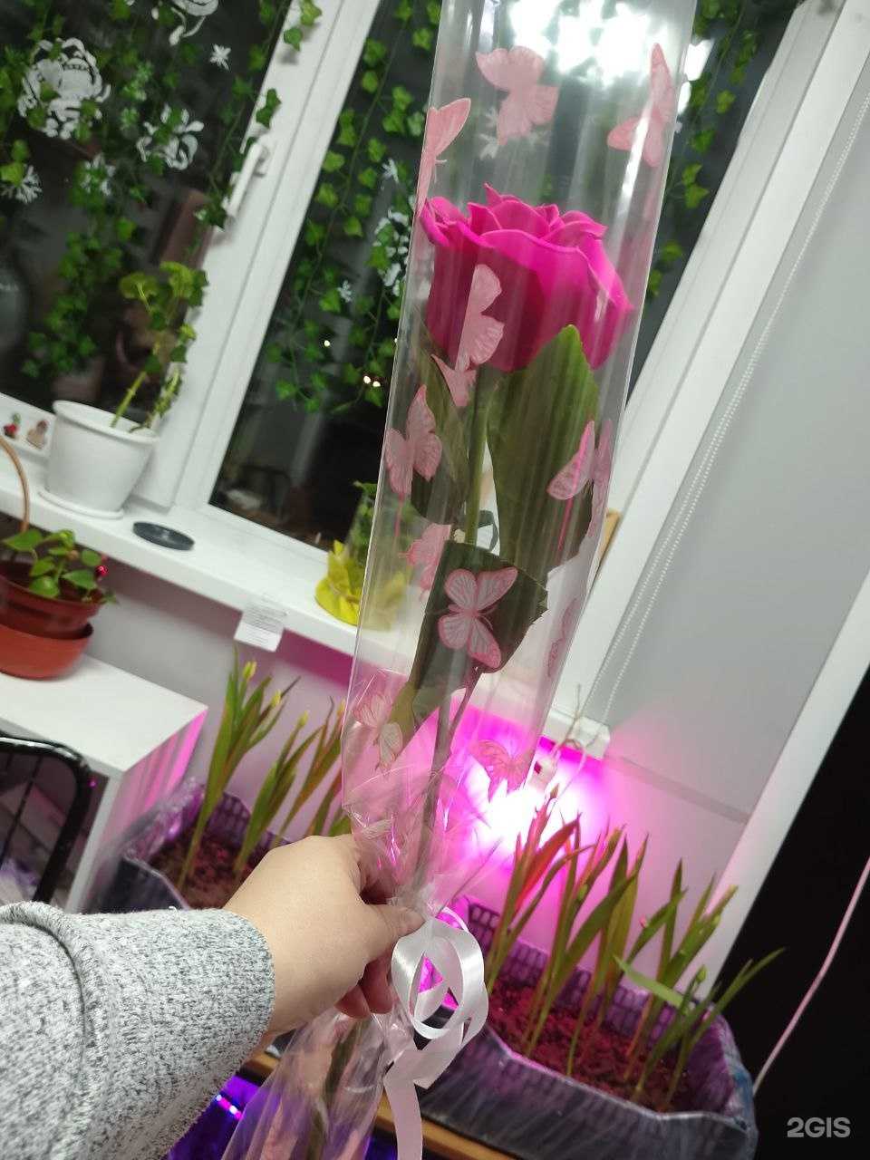 Отзывы на компанию Цветы с любовью в Кызыле c фото