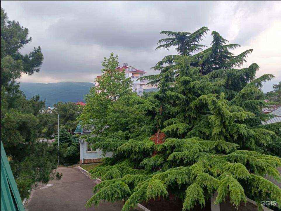 Отзывы на компанию Сундук в г. Геленджик c фото