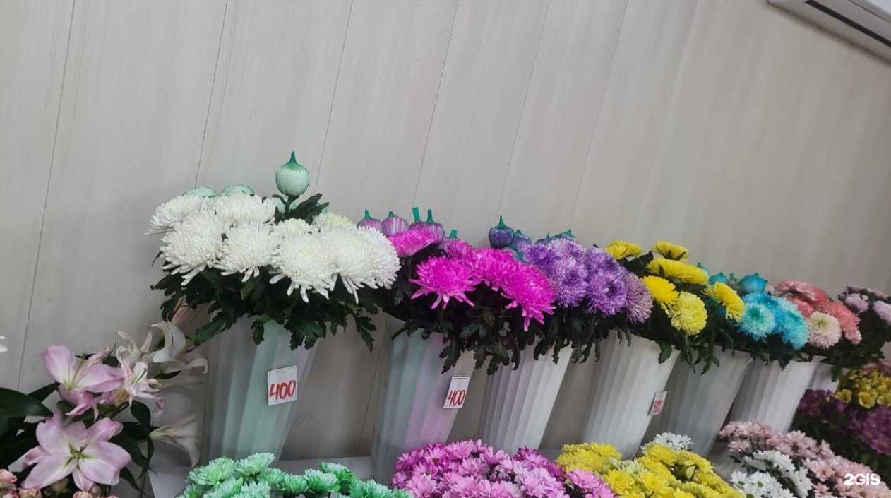 Отзывы на компанию Магнолия в г. Находка c фото