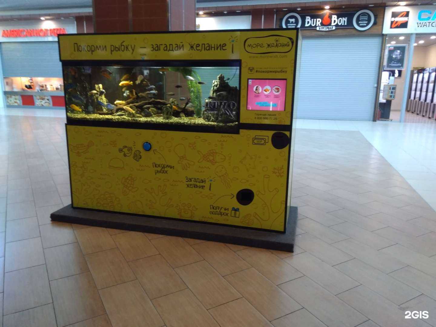 Отзывы на компанию Море желаний в Саратове c фото