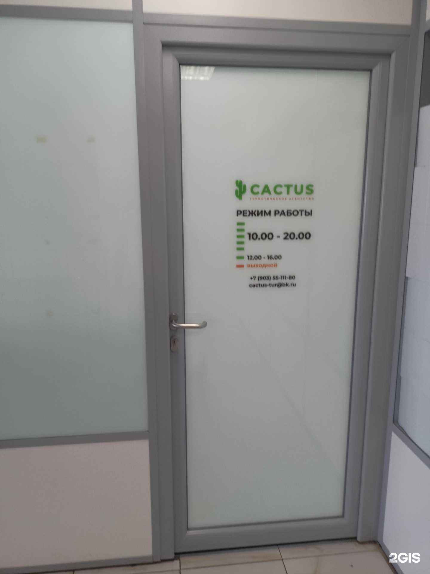 Отзывы на компанию Cactus в Жуковском c фото