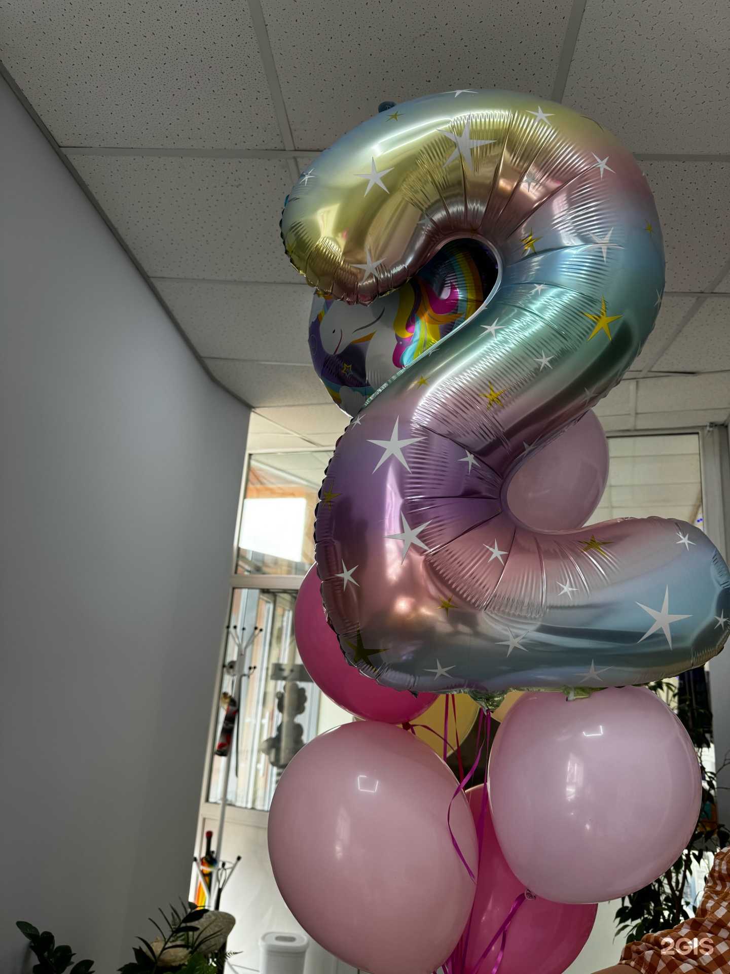 Отзывы на компанию Воздушный слон в Ставрополе c фото