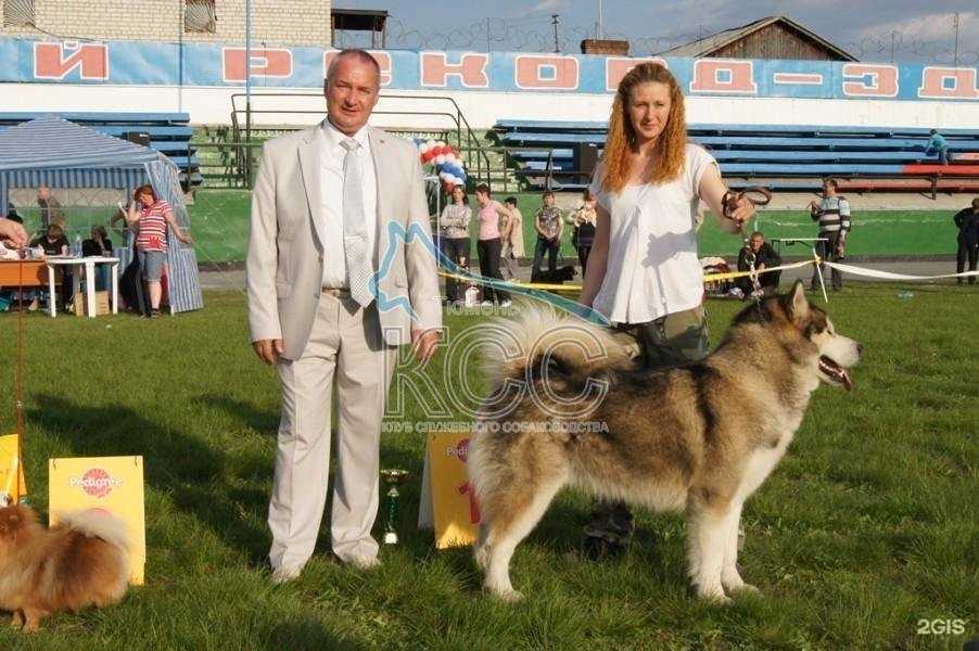 Отзывы на компанию Клуб служебного собаководства в г. Тюмень c фото