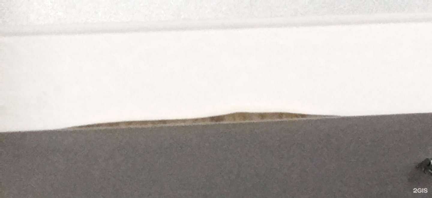 Отзывы на компанию Народный в Орске c фото