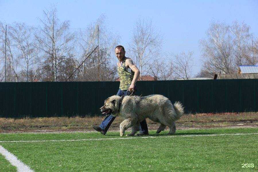 Отзывы на компанию Автошкола в г. Рассказово c фото