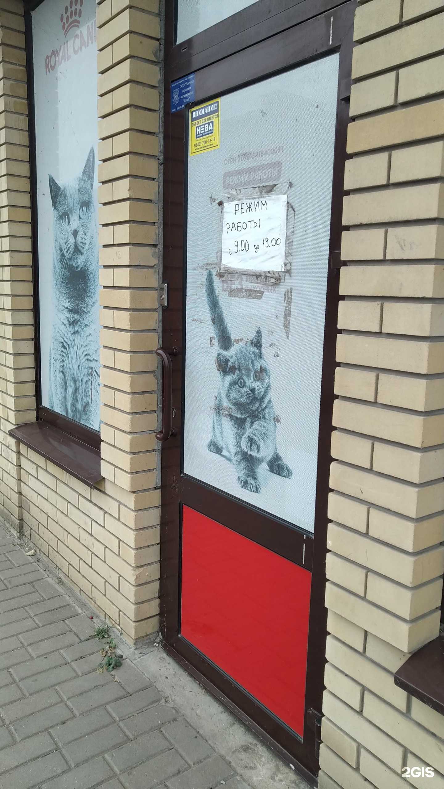 Отзывы на компанию 38 попугаев в Таганроге c фото