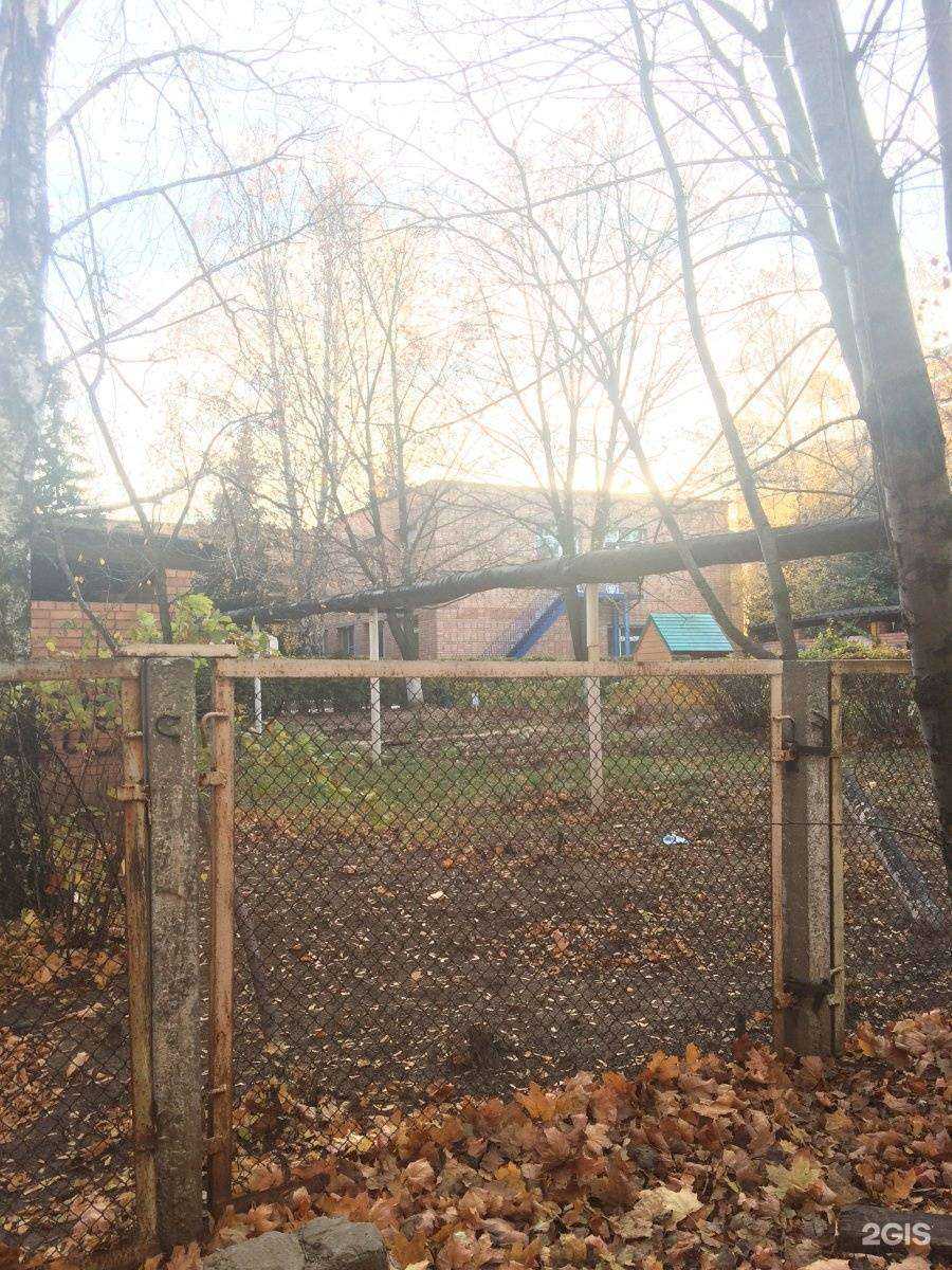 Отзывы на компанию Теремок в Рязани c фото