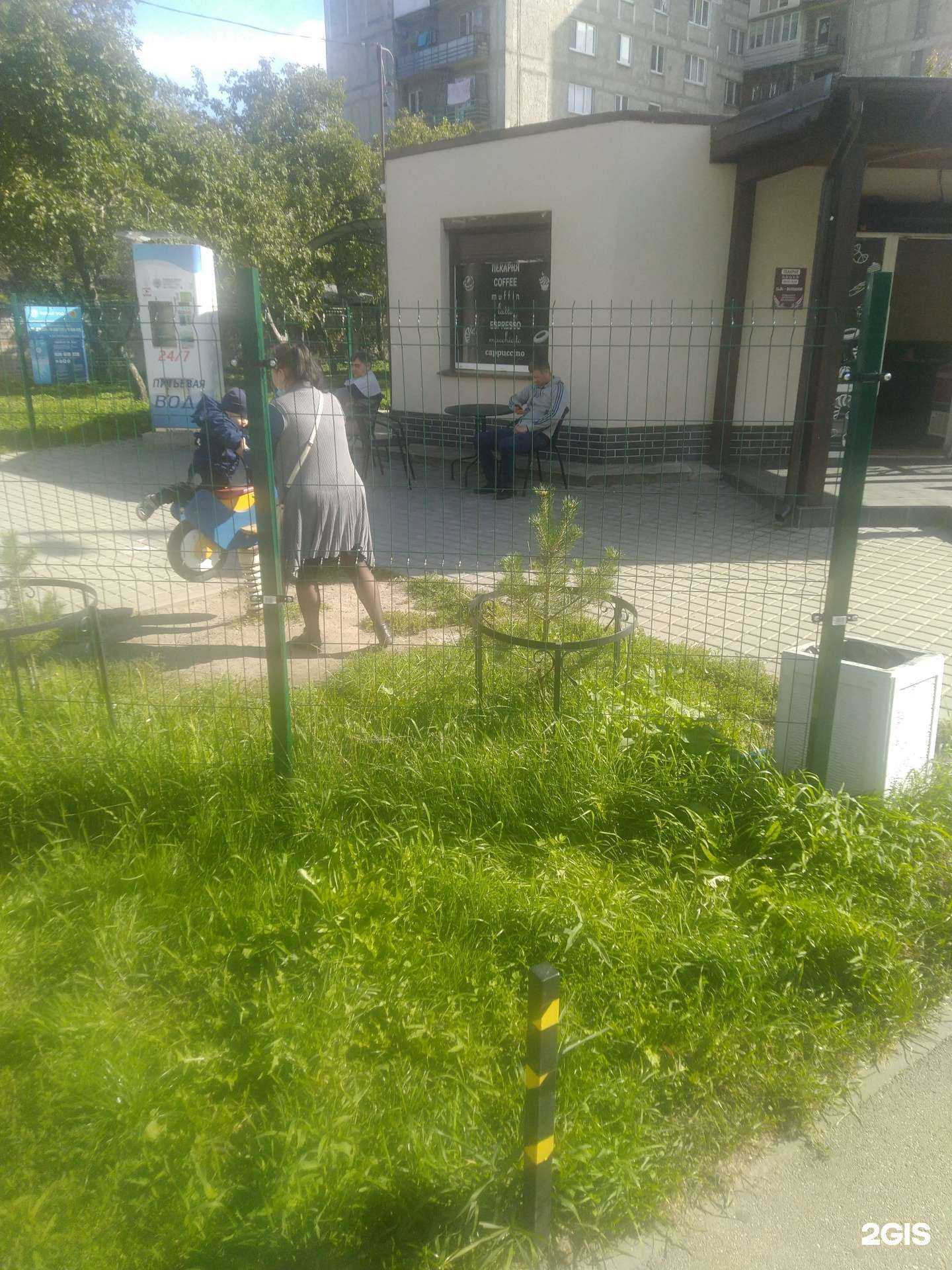 Отзывы на компанию Живая вода в г. Калининград c фото