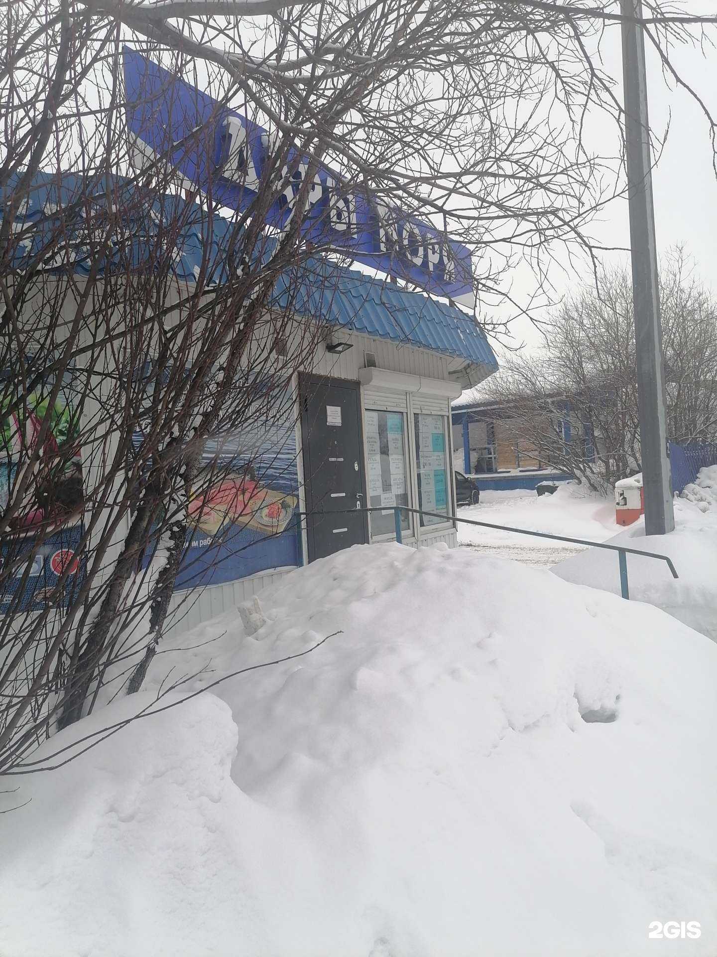 Отзывы на компанию Дары моря в Мурманске c фото